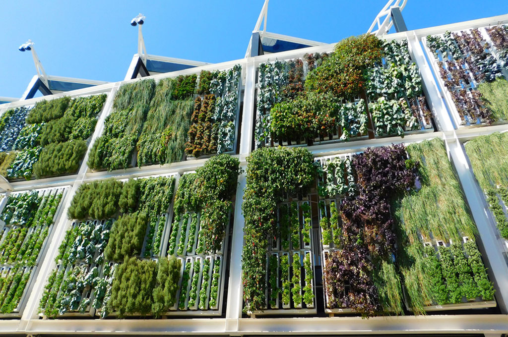 Edificios con jardines verticales, una nueva tendencia